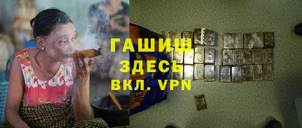 гидра Арсеньев
