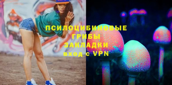 гидра Арсеньев