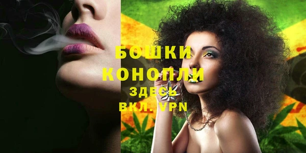 мяу мяу мука Кукмор