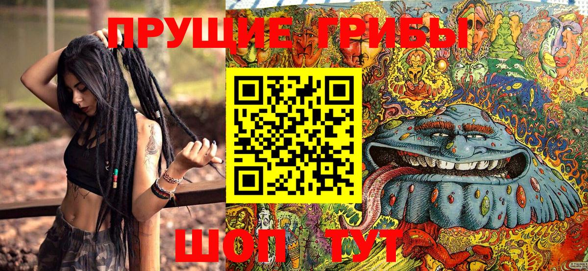 Псилоцибиновые грибы MAGIC MUSHROOMS Асбест