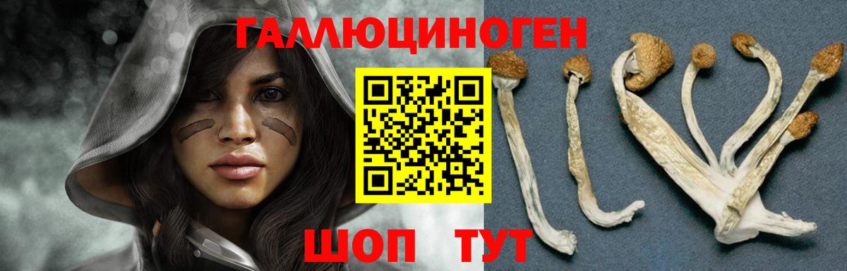 Асбест  Псилоцибиновые грибы мицелий  Вход с VPN 